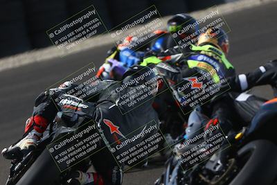 media/Oct-12-2025-CRA (Sun) [[e621380112]]/Races/Race 8/